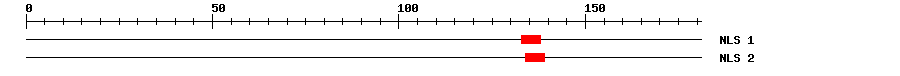 NLS