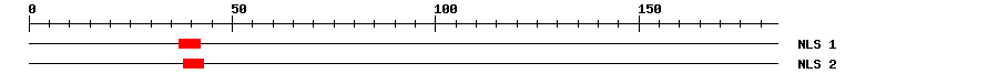 NLS
