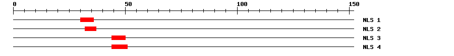 NLS