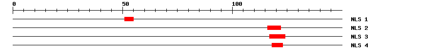 NLS
