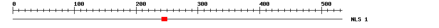 NLS