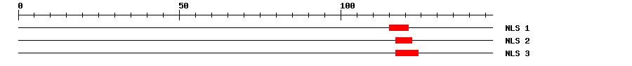 NLS