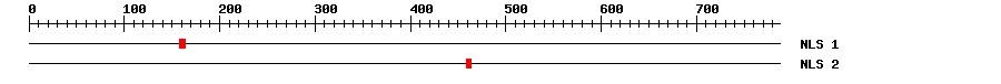 NLS
