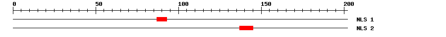 NLS
