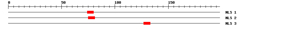 NLS
