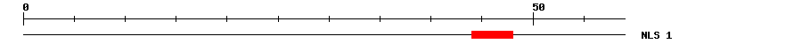 NLS