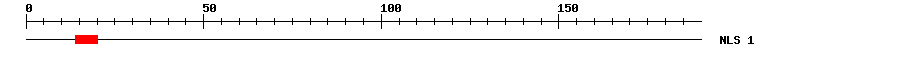 NLS
