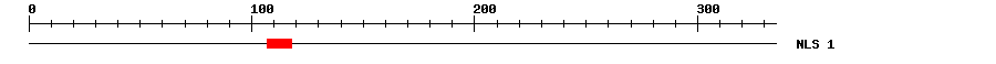 NLS