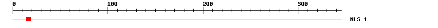 NLS