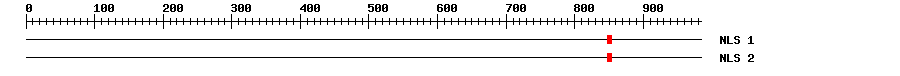 NLS