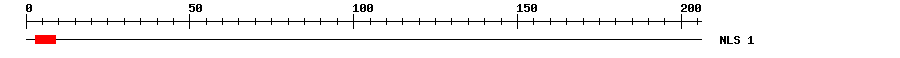 NLS