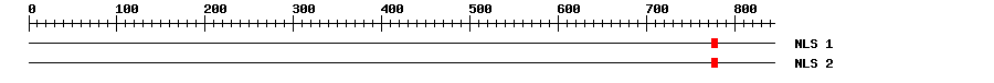 NLS