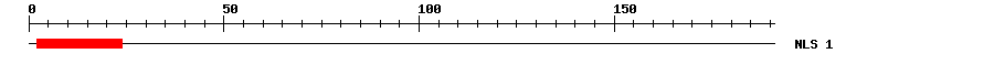 NLS
