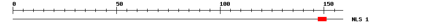 NLS