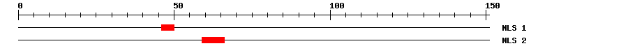 NLS