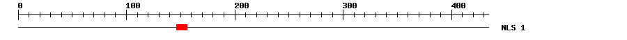 NLS