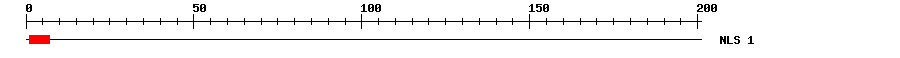 NLS