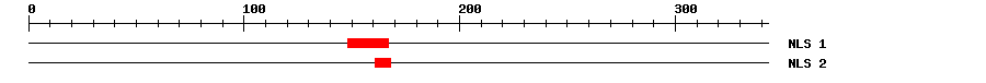 NLS