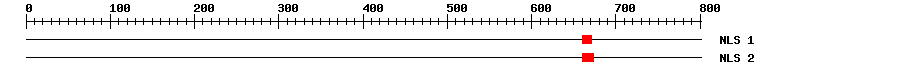 NLS