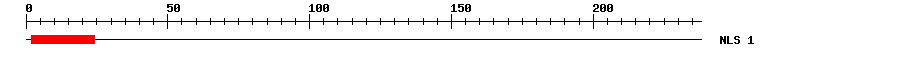 NLS