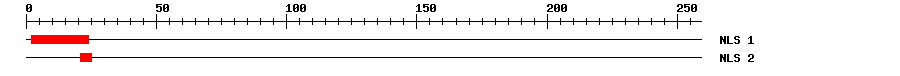 NLS