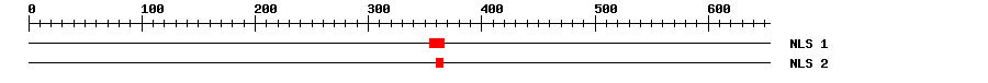 NLS