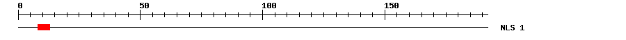 NLS