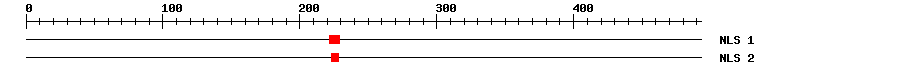 NLS
