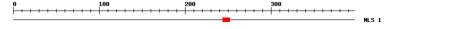 NLS
