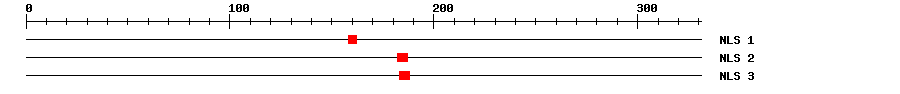 NLS