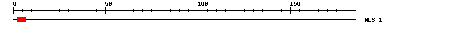 NLS