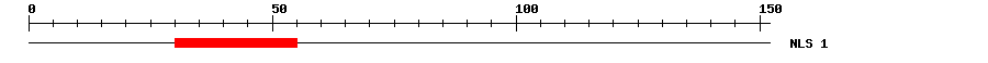 NLS