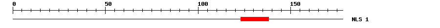 NLS