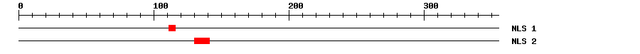 NLS