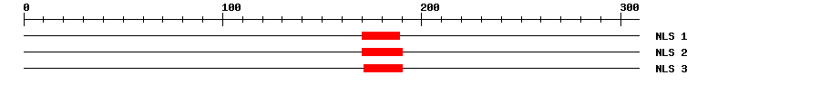 NLS