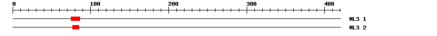 NLS