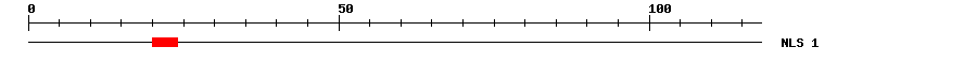 NLS
