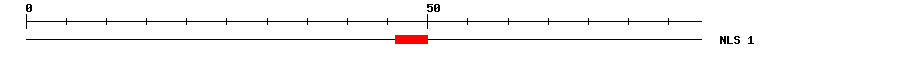 NLS