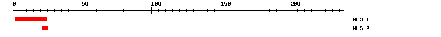NLS