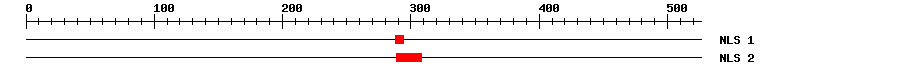 NLS