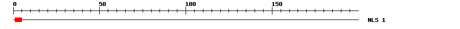 NLS