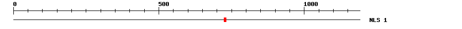 NLS