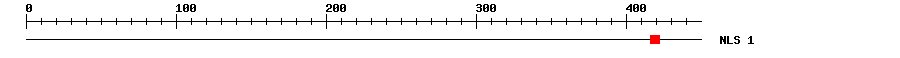 NLS