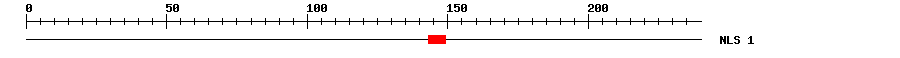 NLS
