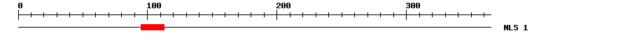NLS
