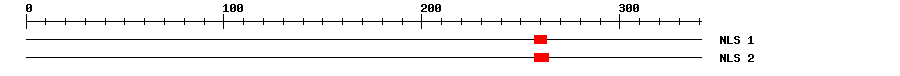 NLS