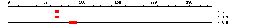 NLS