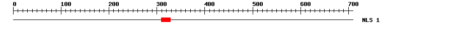 NLS