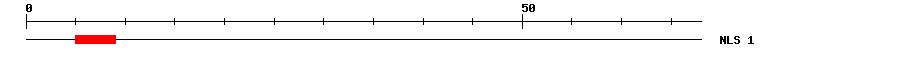 NLS