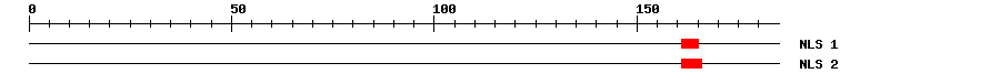 NLS